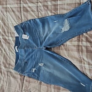 NWT Lane Bryant Jegging Pedal